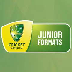 CA Junior Cricket APK download