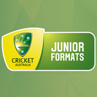 CA Junior Cricket ícone