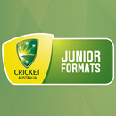 CA Junior Cricket APK