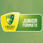 CA Junior Cricket icono