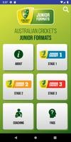 Poster CA Junior Cricket