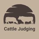 Cattle Judging APK