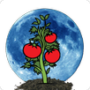 Moon Calendar APK