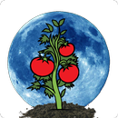 Moon Calendar APK