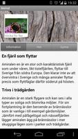 Fjärilar screenshot 1