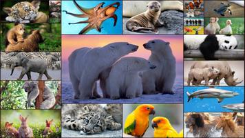 Puzzlespiel mit Tieren Kinder Plakat