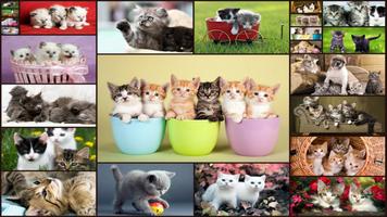 Cats Jigsaw Puzzle Game Kids الملصق