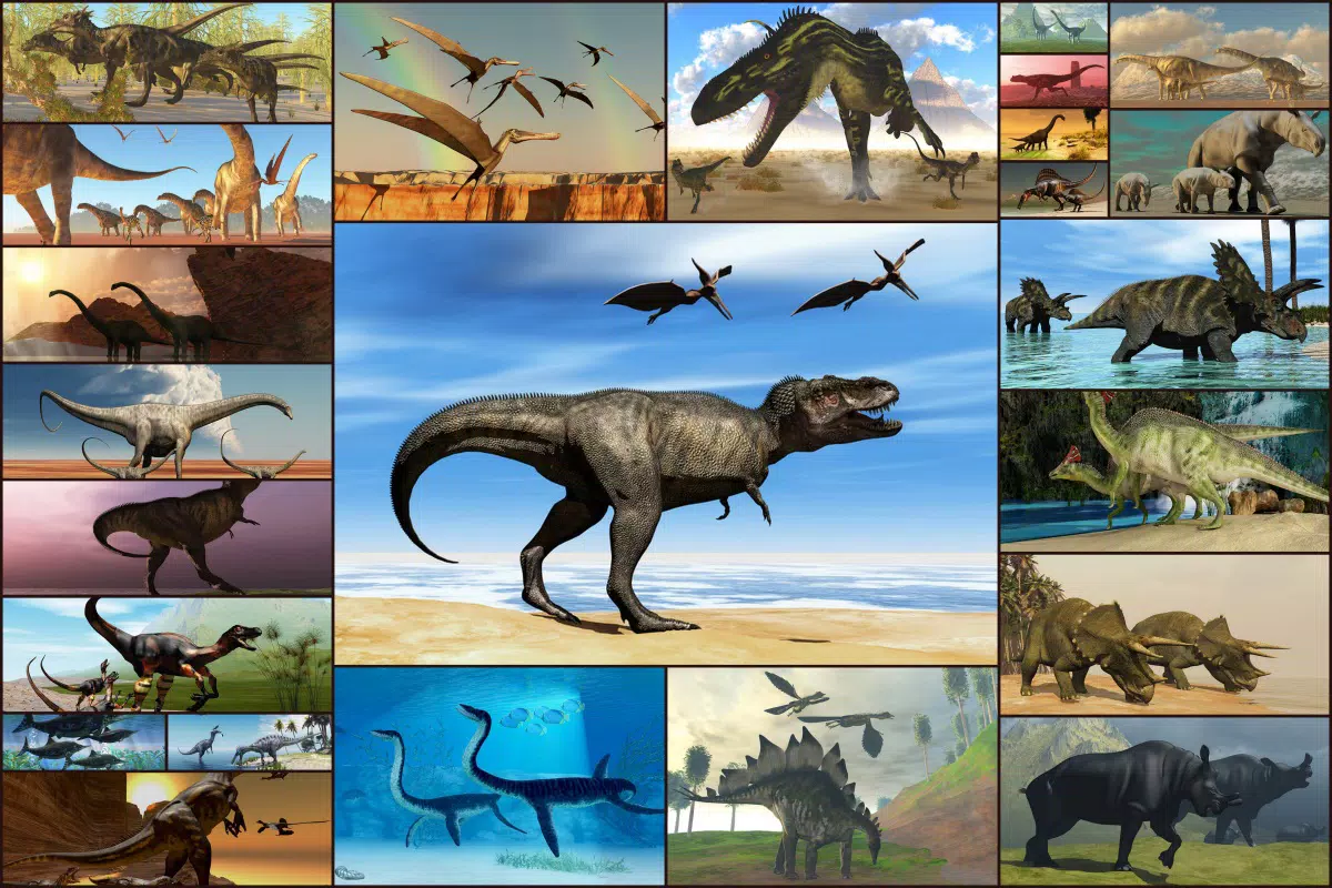 Jigsaw Puzzle Dinosaur Game Download