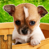 Dogs Jigsaw Puzzle Game Kids آئیکن