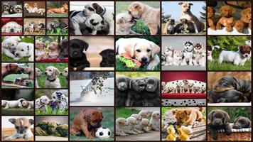 Jeu de Chiens Puzzle Enfants Affiche