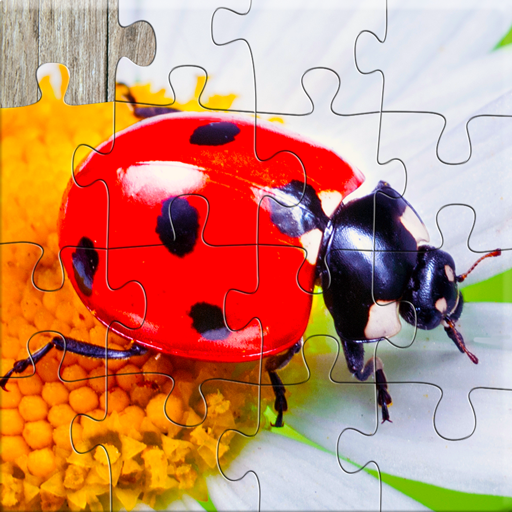 Puzzlespiel Insekten Kinder
