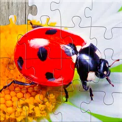 Insect Jigsaw Puzzle Game Kids アプリダウンロード