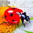 Jogo de Insetos Quebra-cabeça APK