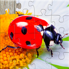 Puzzlespiel Insekten Kinder Zeichen
