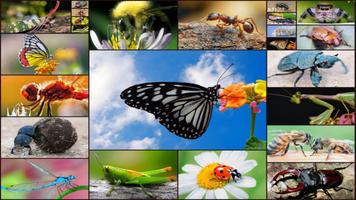 Puzzlespiel Insekten Kinder Plakat