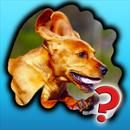 Animal Fun 3-in-1 - Educational Kids Games APK