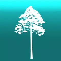 Arboreal - Height of Tree アプリダウンロード
