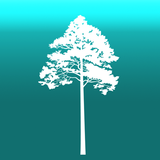 Arboreal - Height of Tree APK