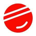Boxbollen icon