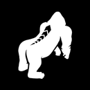 SVRBK Timer for HIIT & Boxing-APK