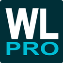 Wordlist Pro APK