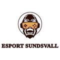 E-sport
