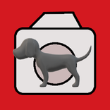 Dog Camera