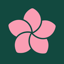 Sakura APK