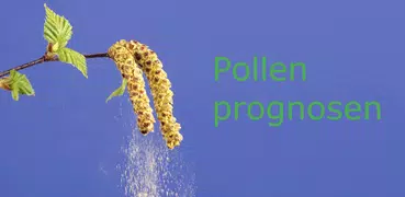 Pollen forecast