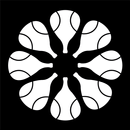 The Padel Network APK