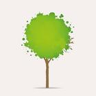 Grow BORAB иконка
