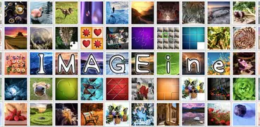 IMAGEine Premium