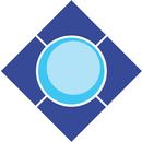 Vision 80/20 APK