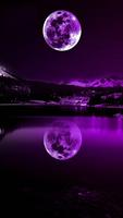 Wallpapers - Backgrounds HD 2019 Affiche