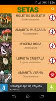 Guía de Setas Silvestres スクリーンショット 3