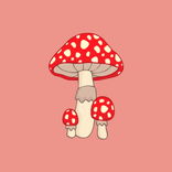 Грибной идентификатор