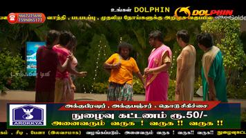 Dolphin Tv screenshot 3