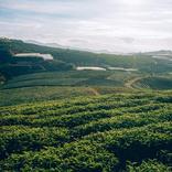 KARADENİZ ŞARKILARI (internetsiz dinle)