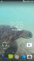 Sea Turtle HD. Wallpaper পোস্টার