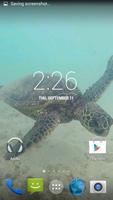 Sea Turtle HD. Wallpaper ภาพหน้าจอ 3