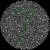 Color Blind Test スクリーンショット 3