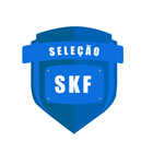 Seleção SKF-icoon
