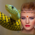 Snake Photo Frame 2019