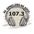 fmsemillerodeazul