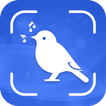 Bird Song Identifier