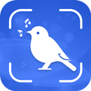 Bird Song Identifier APK