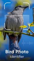 Bird Song Identifier poster