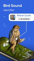 Bird Song Identifier screenshot 1