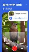 Bird Song Identifier screenshot 2