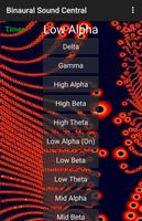 Binaural Sound Central 海报